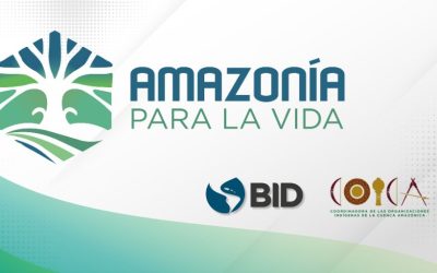 Primeros avances del Fondo Amazonía para la Vida confirman un nuevo modelo de acceso directo indígena.